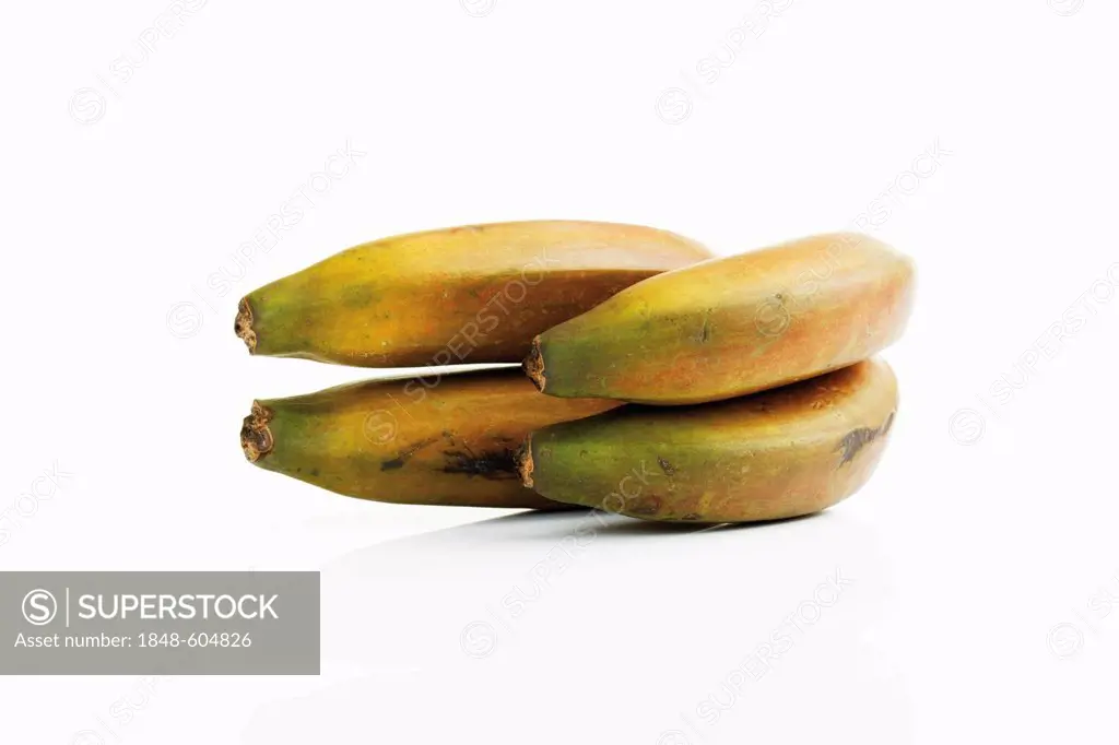 Red bananas (Musa) from Mexico