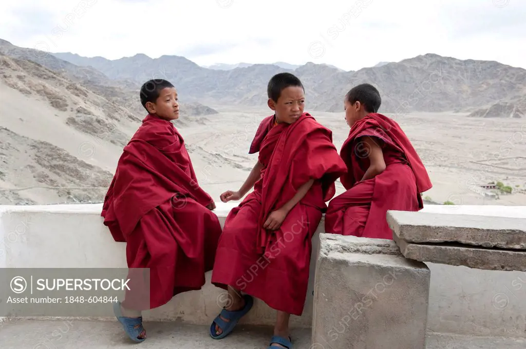 Tibetan Buddhism, boys, novices dressed in red robes, Thikse Gompa Monastery near Leh, Ladakh district, Jammu and Kashmir, India, South Asia, Asia