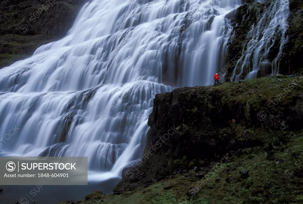 Dynjandi waterfalls, also known as Fjallfoss, the largest waterfall in the Fjallfossar, Arnarfjoerður, Arnarfjordur, West Fjords, Iceland, Europe