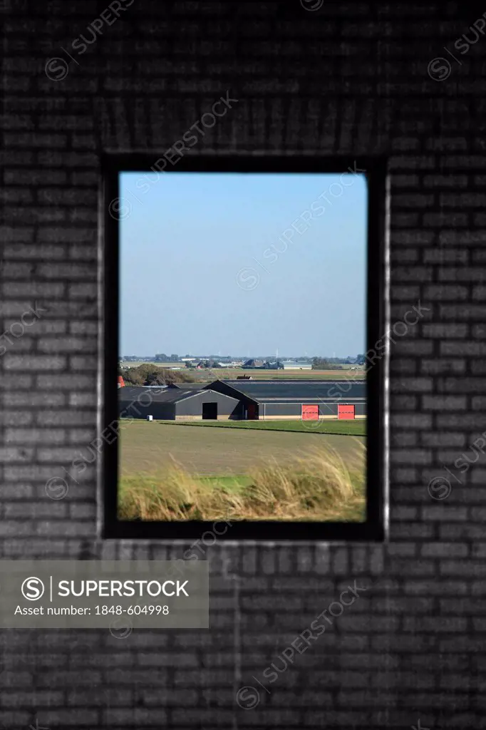 View through a window, landscape, farm, Julianadorp, Den Helder, North Holland, Holland, Netherlands, Europe