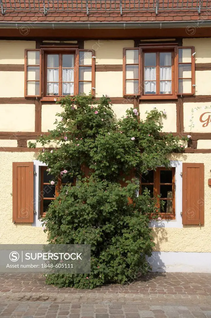Half-timbered, historic guest house opposite the Kloster Buch monastery in Klosterbuch, Saxony, Germany, Europe