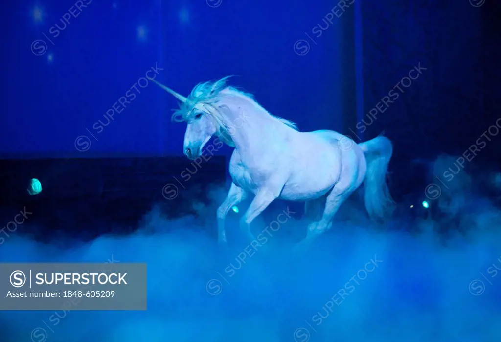 Horse as a unicorn, Magnifico, show by André Heller, world premiere on 08.02.2011, Munich, Bavaria, Germany, Europe