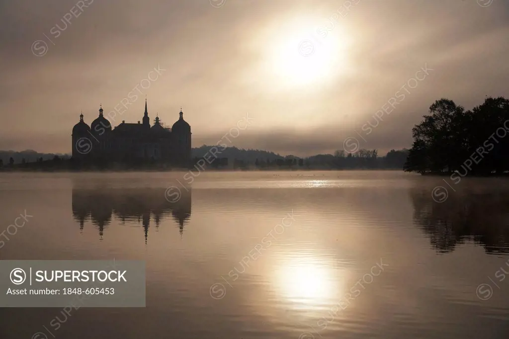 Schloss Moritzburg castle in morning mist, autumn mood on the castle pond, Saxony, Germany, Europe