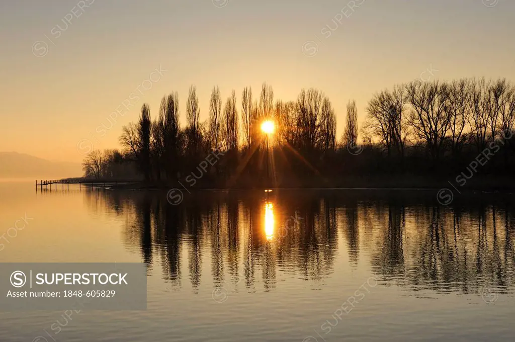 Sunset with tree silhouettes on the shores of Lake Constance near Hornstaad, Konstanz district, Baden-Wuerttemberg, Germany, Europe
