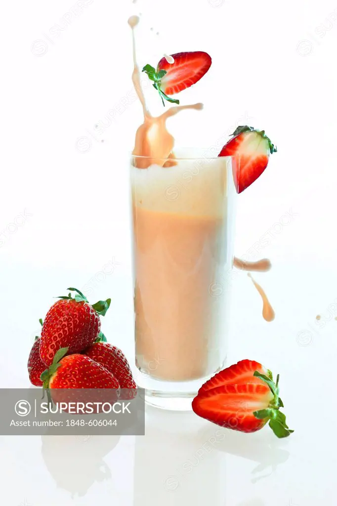 Strawberries tumbling into a strawberry yogurt drink, strawberry shake in a glass