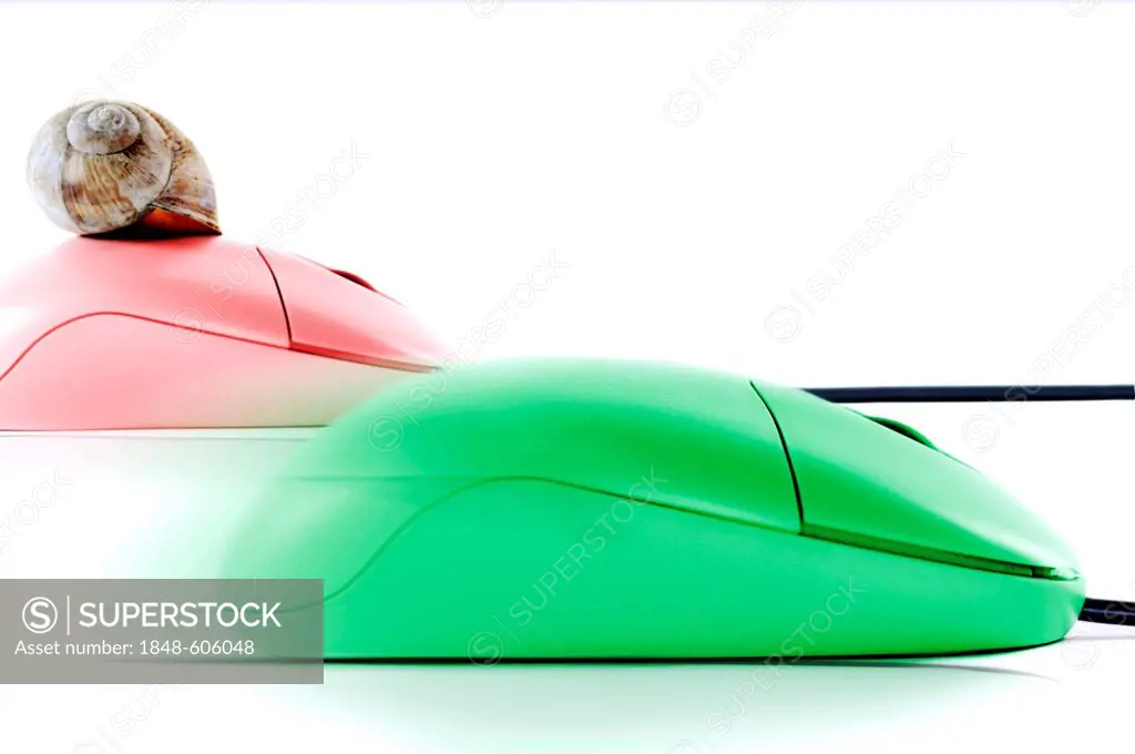 Green computer mouse and a pink computer mouse with a snail shell, symbolic image for two-tiered Internet