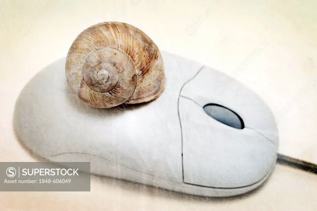 Computer mouse with a snail shell, symbolic image for two-tiered Internet