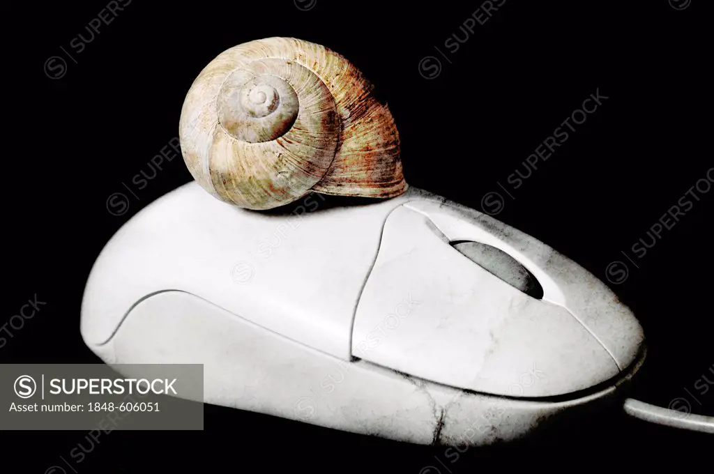 Computer mouse with a snail shell, symbolic image for two-tiered Internet