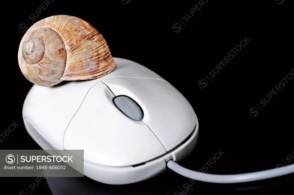 Computer mouse with a snail shell, symbolic image for two-tiered Internet