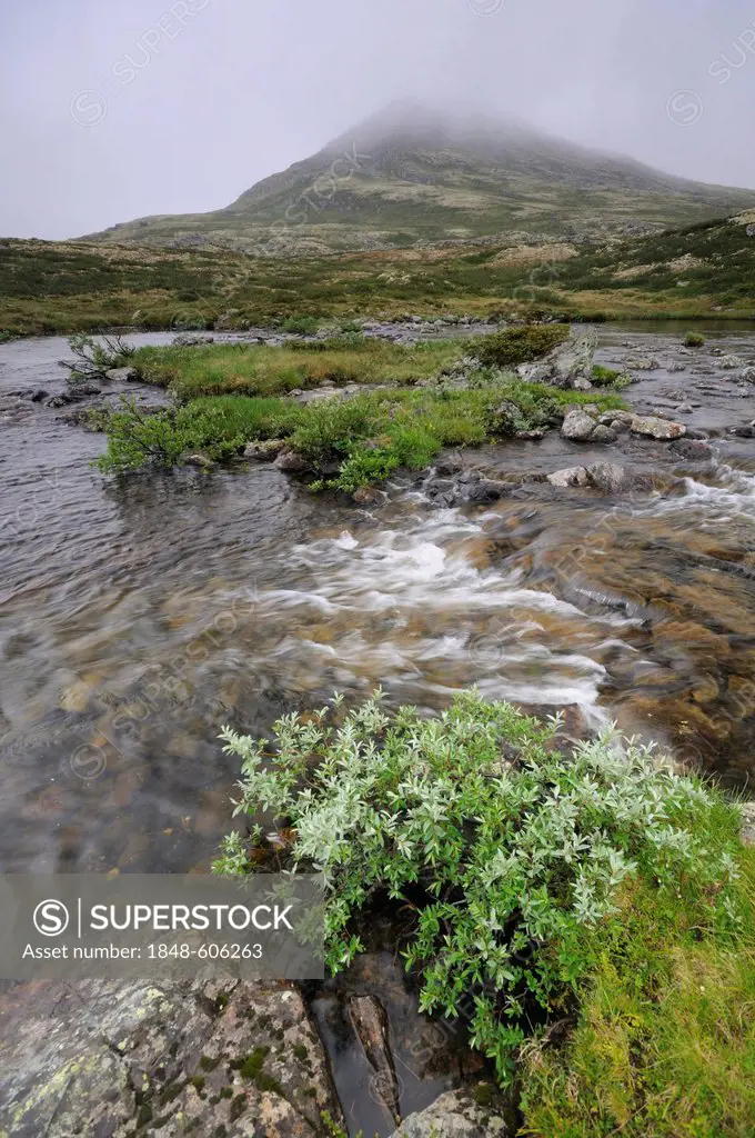 Landscape in the Rondane National Park, Norway, Scandinavia, Europe