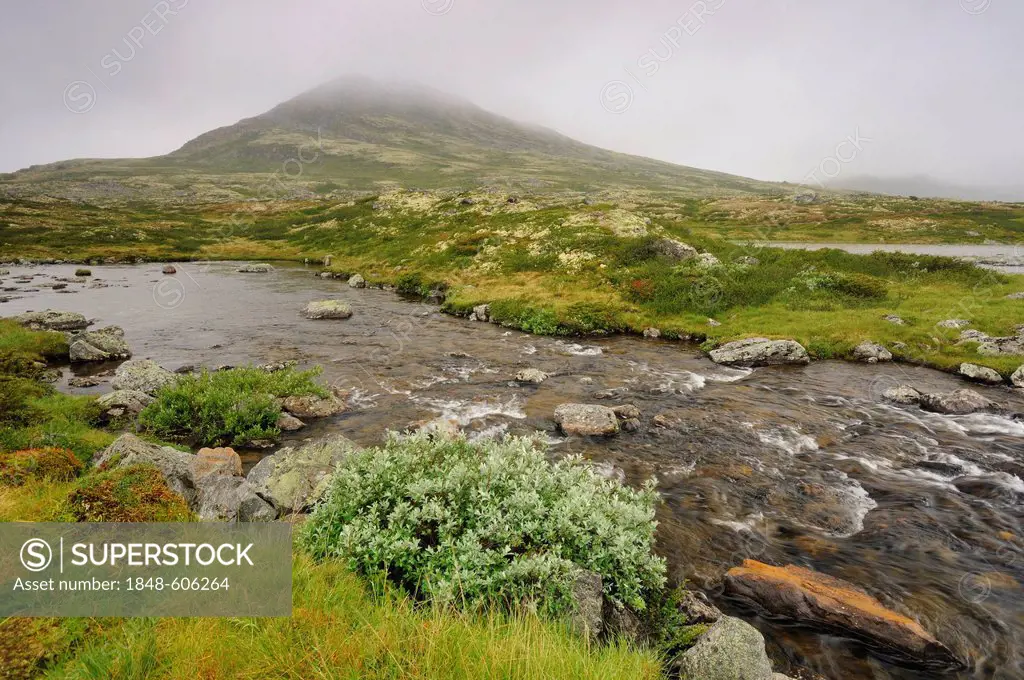 Landscape in the Rondane National Park, Norway, Scandinavia, Europe