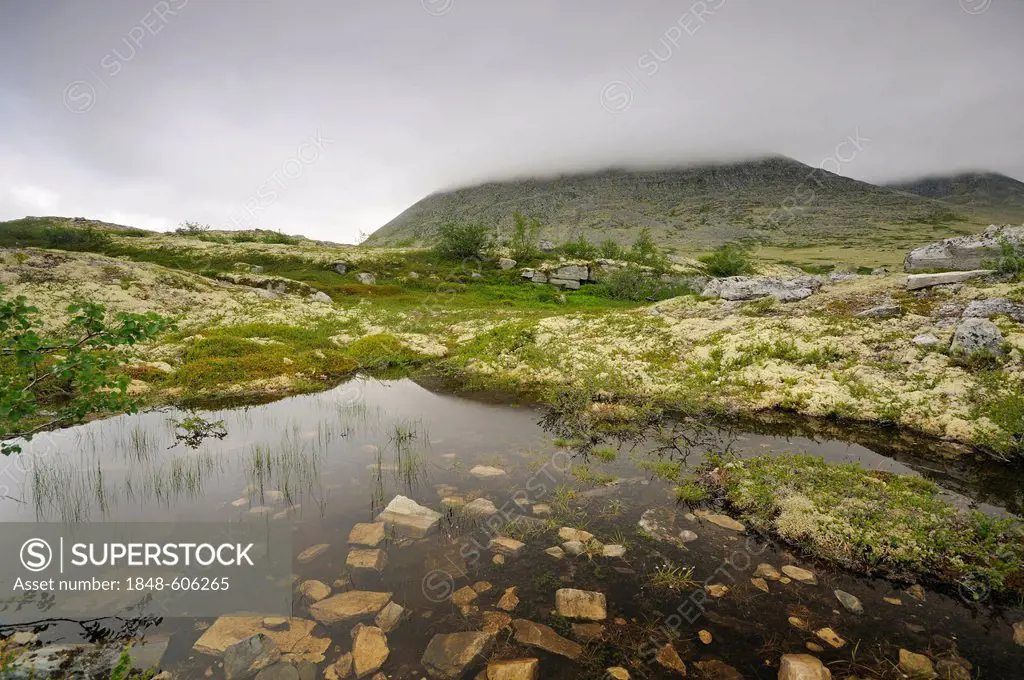 Fjell landscape near Bjørnhollia in the Rondane National Park, Norway, Scandinavia, Europe