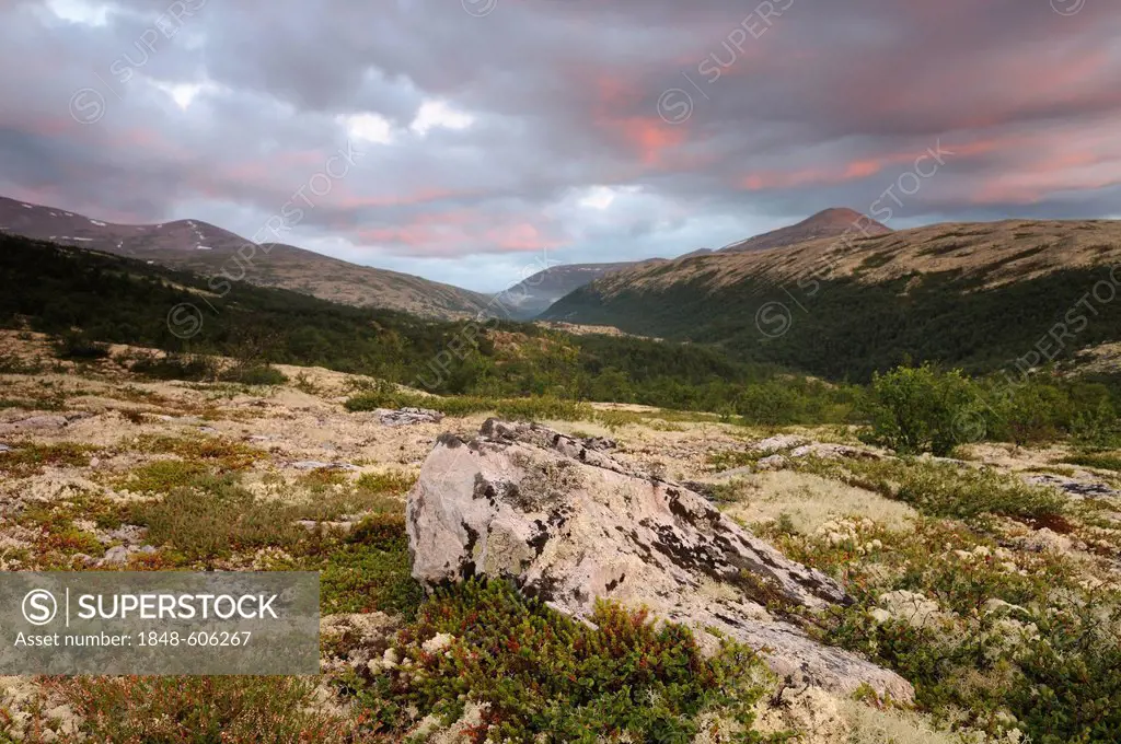 Fjell landscape near Bjørnhollia in the Rondane National Park, Norway, Scandinavia, Europe