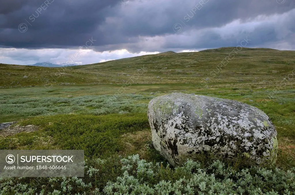 Plateau near the Hardangervidda, Norway, Scandinavia, Europe