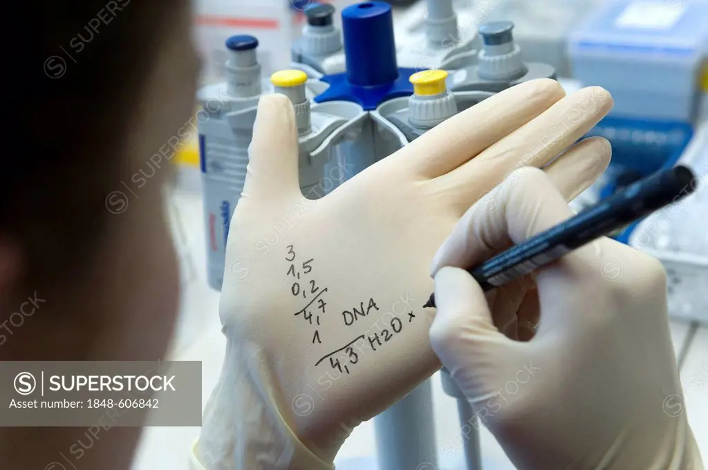 Calculating dilutions of DNA samples, molecular genetics