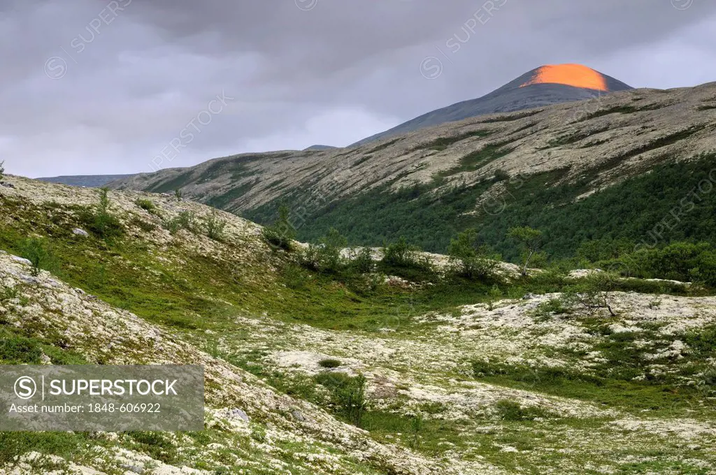 Fjell landscape near Bjørnhollia in Rondane National Park, Norway, Scandinavia, Europe