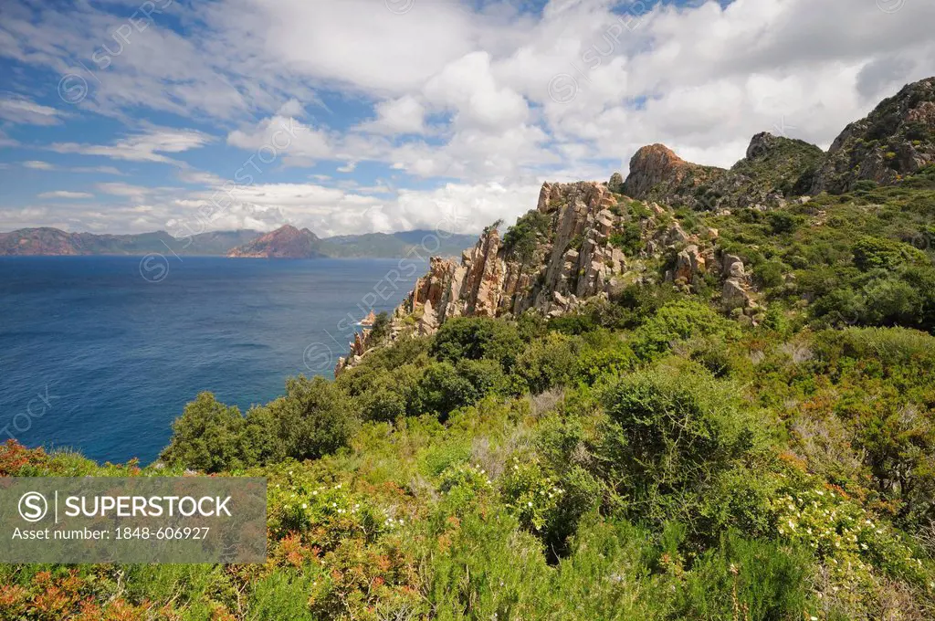 Capu Rosso Peninsula on the west coast of Corsica, France, Europe