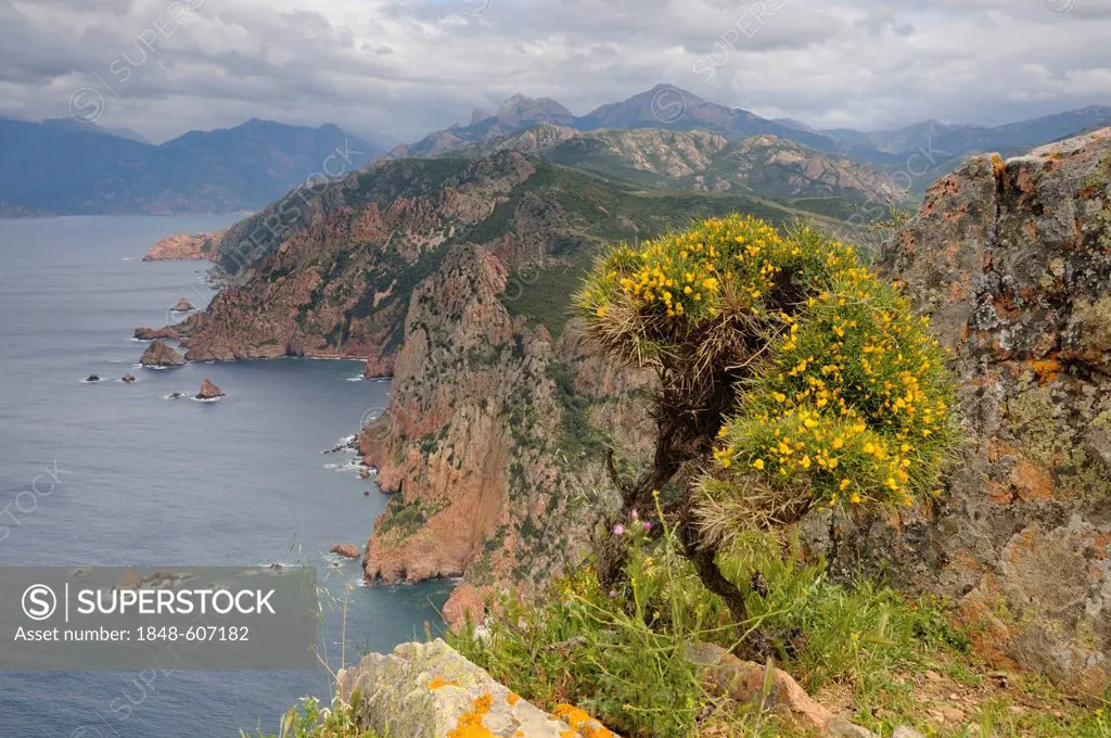 Capu Rosso Peninsula on the west coast of Corsica, France, Europe