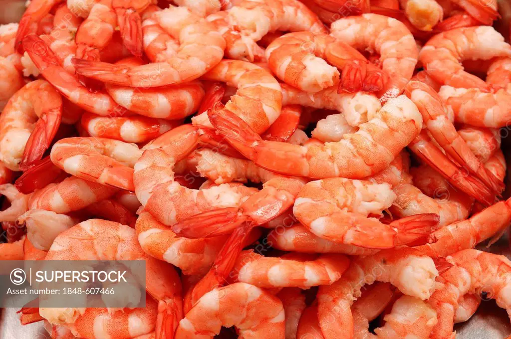 Freshly cooked crystal red shrimps (Caridina cf. cantonensis var. Crystal Red), food