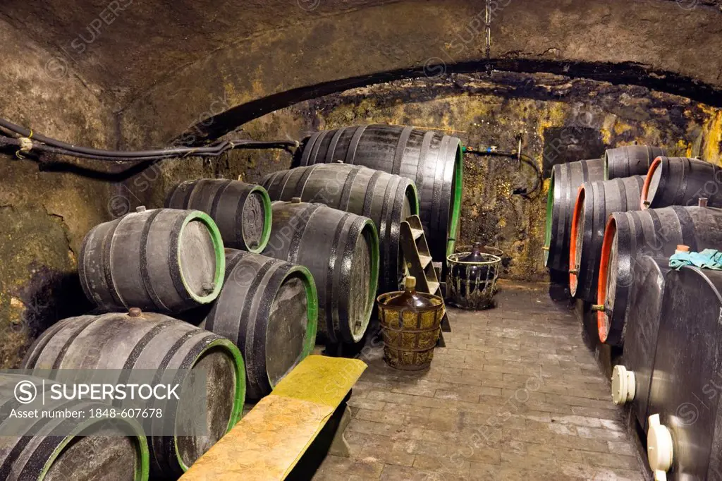 Wine cellar, Rakvice, Breclav district, South Moravia region, Czech Republic, Europe