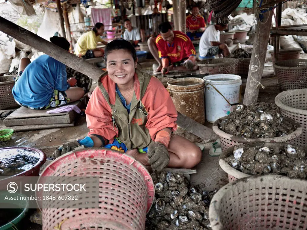 Woman working taking oyster flesh from the shell in Bang Saen, Thailand, Asia