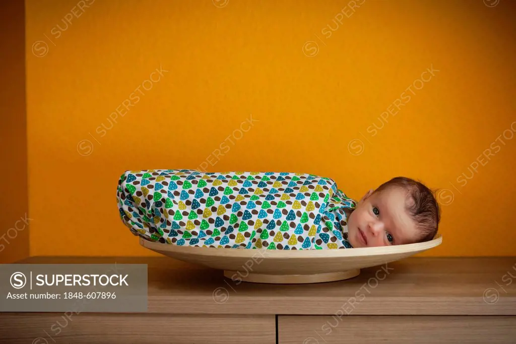 Newborn baby, two weeks, in a bowl