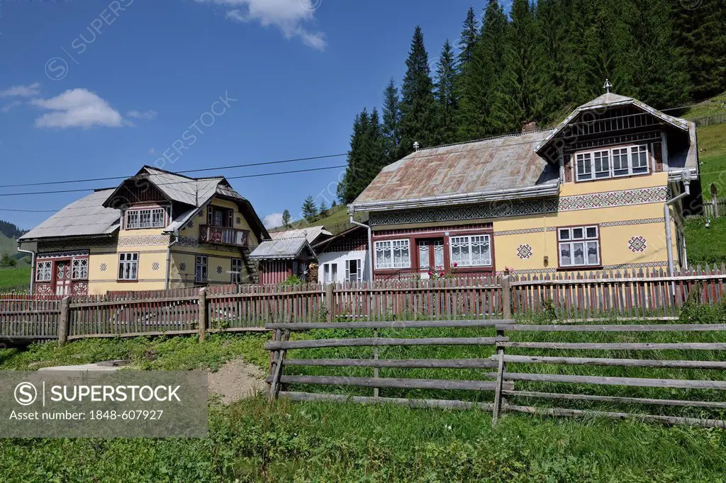 Traditionally painted houses, Ciocanesti, Suceava region, Romania, Europe