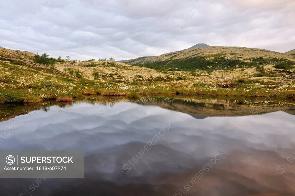 Lake and fjell landscape near Bjørnhollia in Rondane National Park, Norway, Scandinavia, Europe