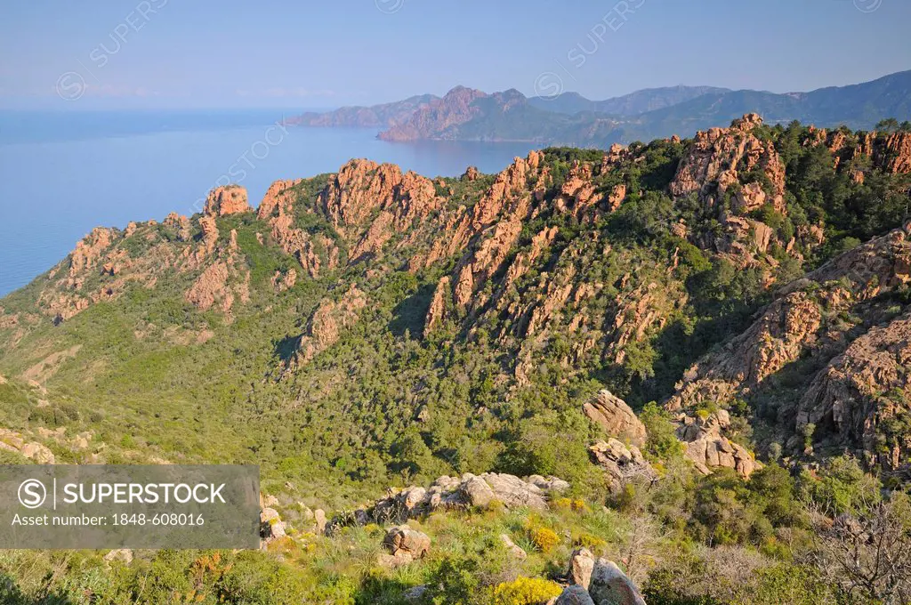 Calanche, rocky landscape on the west coast of Corsica, France, Europe