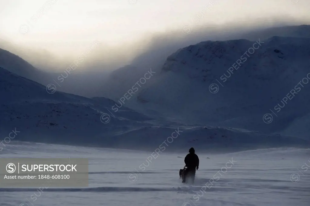 Sled dog team in front of the mountains of Finnmark, Lapland, Norway, Europe