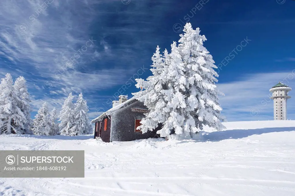Winter scenery on the snow-covered Feldberg mountain, Seebuckturm tower and an alpine hut, Black Forest mountain range, Baden-Wuerttemberg, Germany, E...