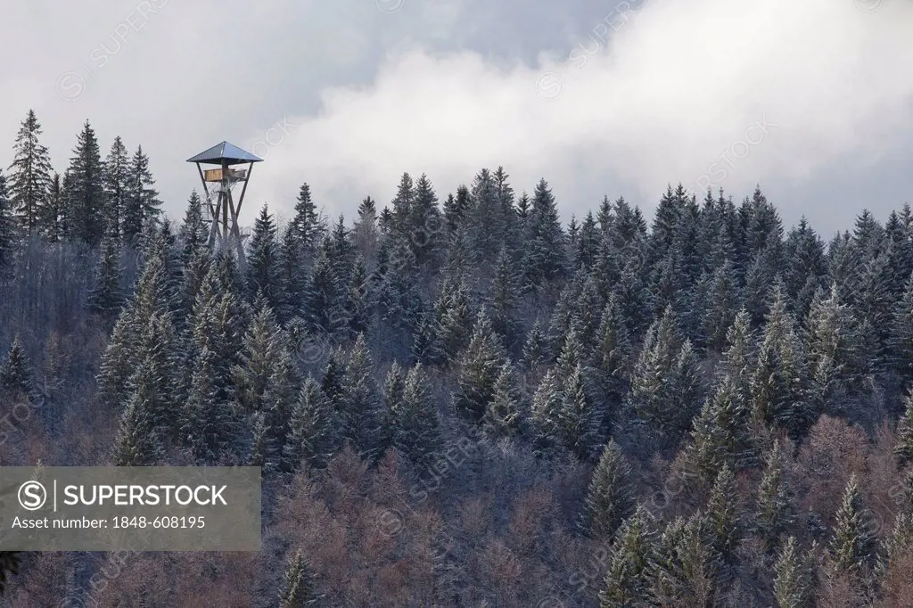 Hasenhornturm tower near Todtnau in November, Black Forest mountain range, Baden-Wuerttemberg, Germany, Europe