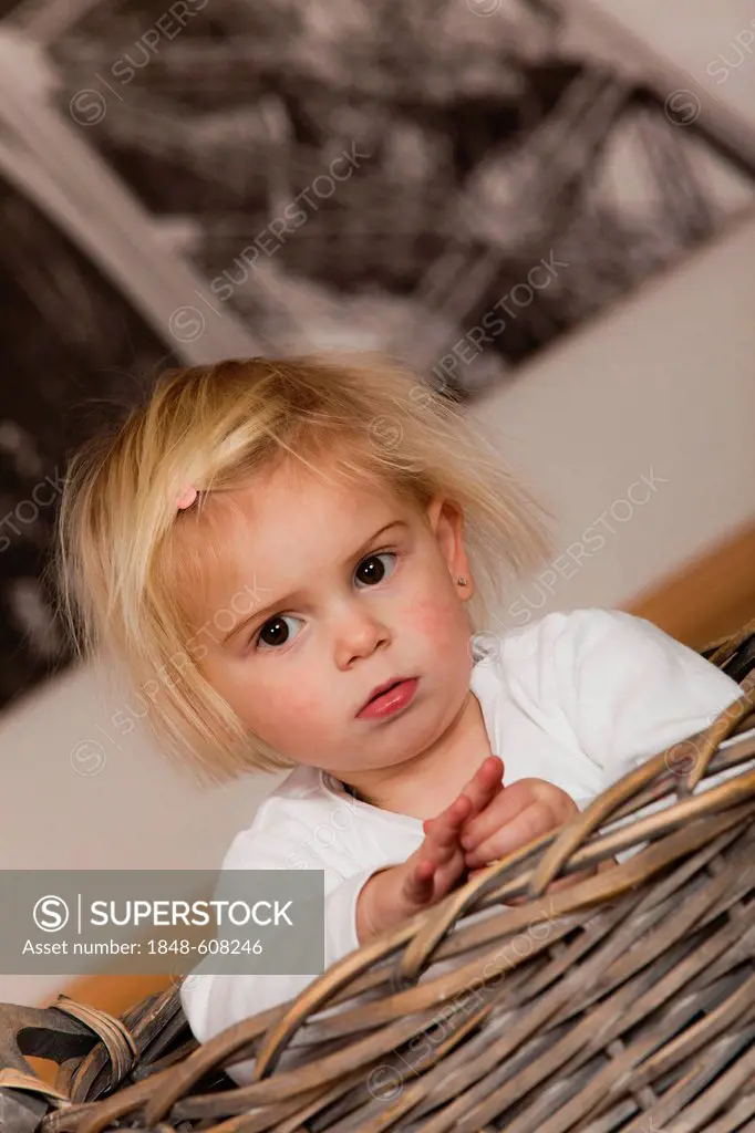 Girl, 1.5 years, sitting in a basket