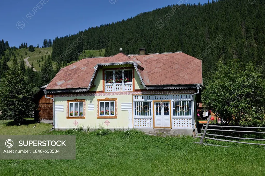 Traditionally painted house, Ciocanesti, Suceava region, Romania, Europe
