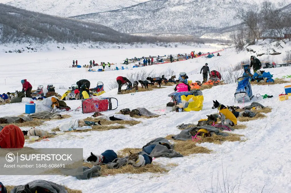 Levajok, a service station of the Finnmarksløpet, northernmost sled dog race in the world, Levajok, Finnmark, Lapland, Norway, Europe