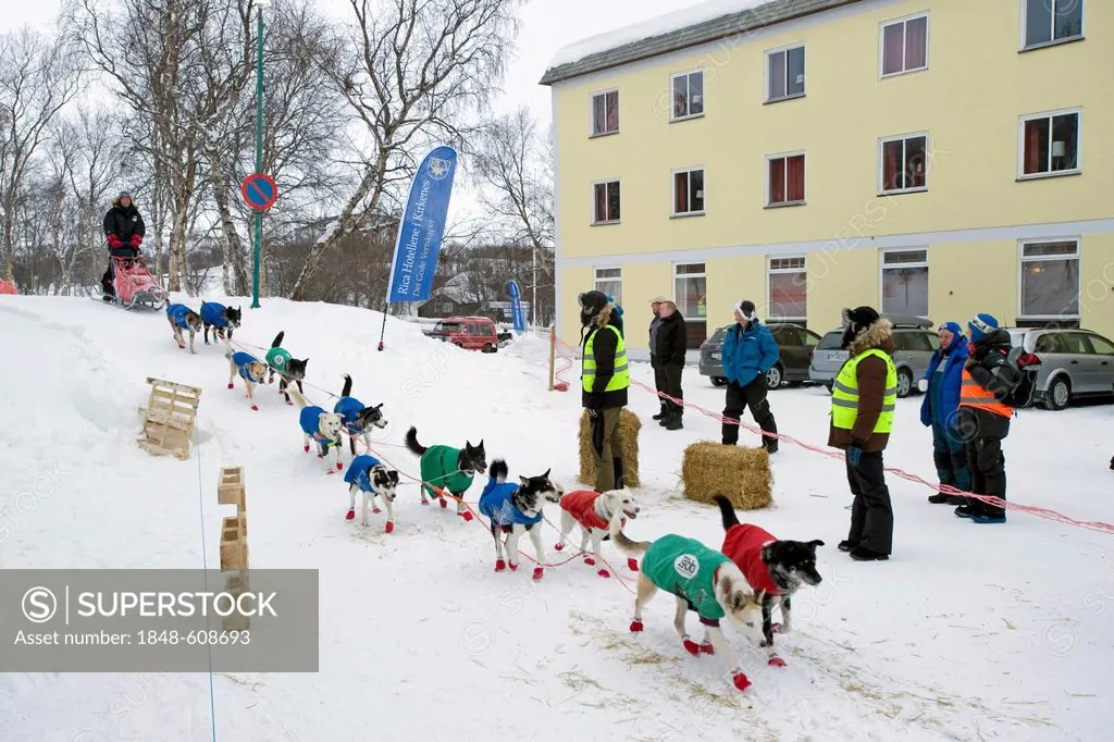 Musher reaching the checkpoint at the Finnmarksløpet, northernmost sled dog race in the world, Finnmark, Lapland, Norway, Europe