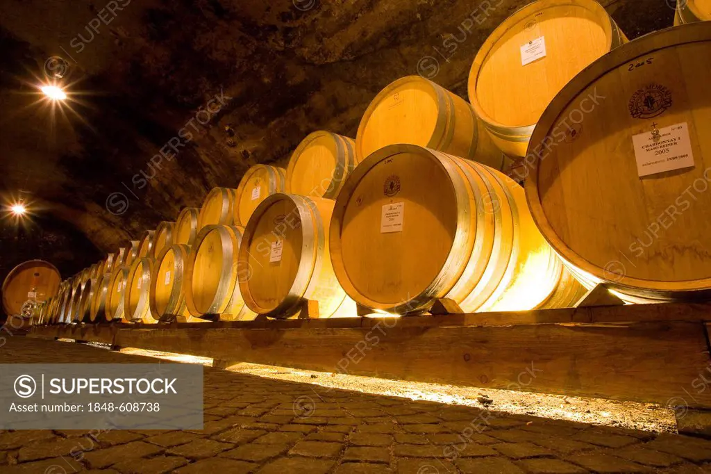 Wine barrels, province of Bolzano-Bozen, Italy, Europe