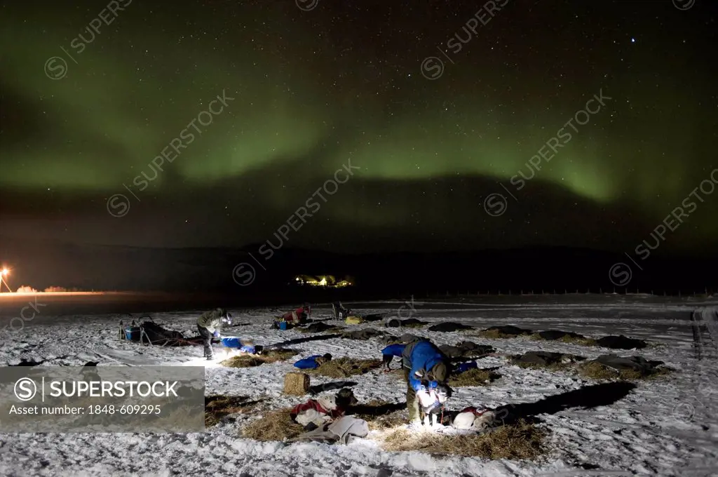 Mushers feeding their dogs under the glow of the Northern Lights (Aurora borealis), Finnmarksløpet, northernmost sled dog race in the world, Finnmark,...