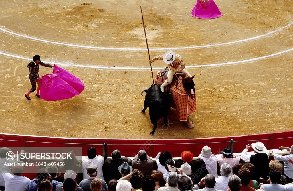 Picador pushing lance into the neck of a bull, bullfighter with a red cloth, bullfighting arena in Sanlúcar de Barrameda, Costa de la Luz, Andalusia, ...