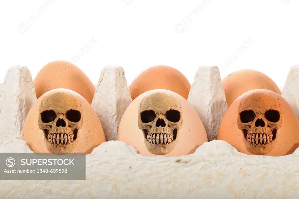 Skulls, eggs, symbolic image for contaminated food, dioxin, animal feed scandal
