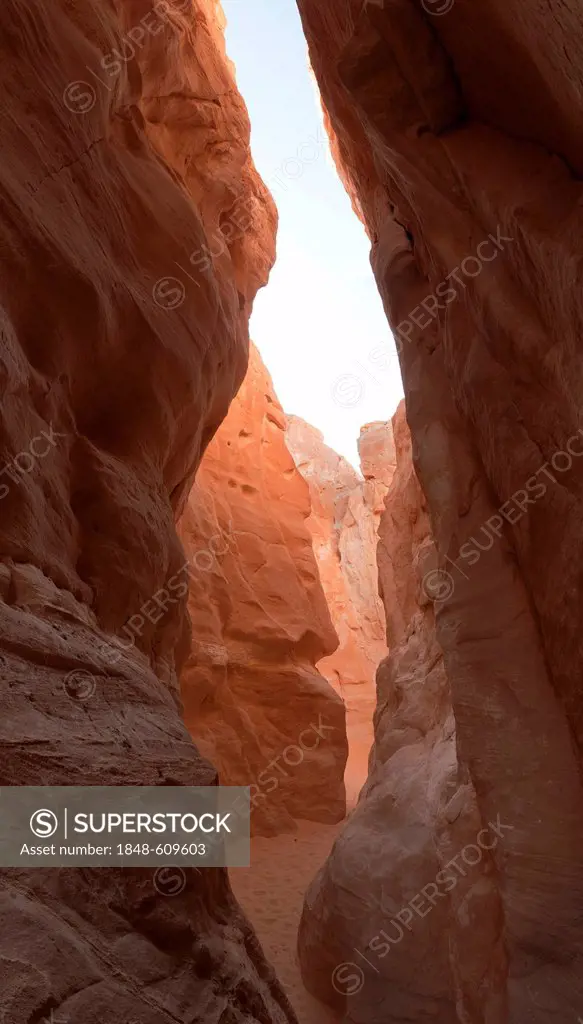 Path through the White Canyon, panorama, Sinai, Egypt, North Africa
