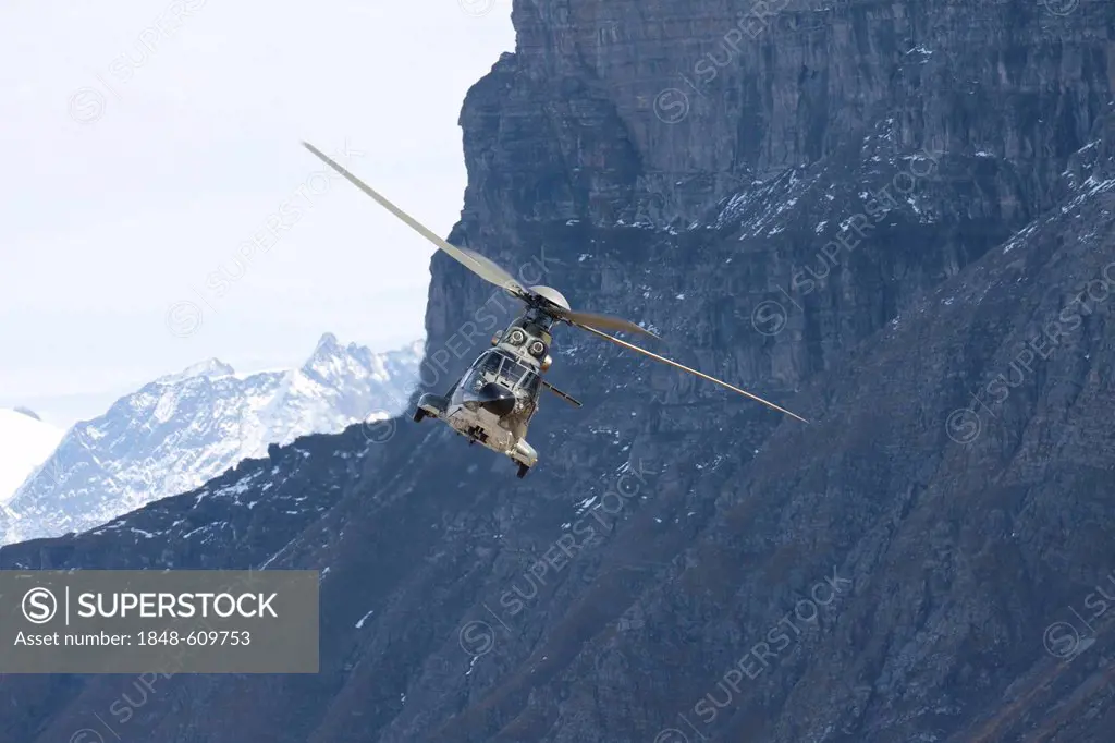 The Swiss military helicopter Cougar in front of a rock wall, mountain-air show of the Swiss Air Force at Axalp, Ebenfluh, Interlaken, Bern, Switzerla...