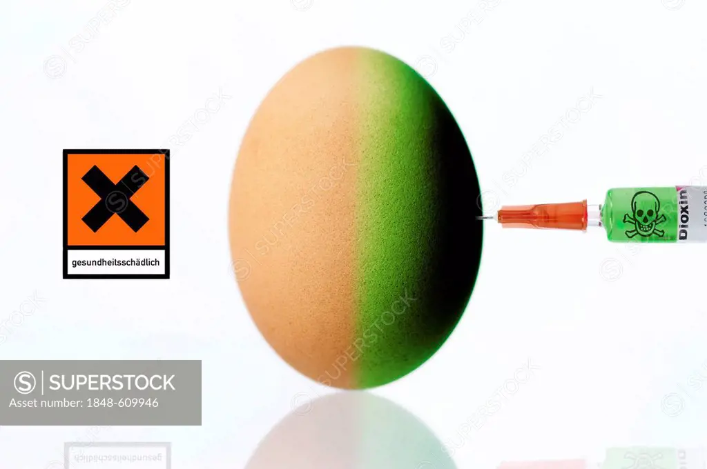 Hen's egg being injected with Dioxin in a syringe and a health warning sign, symbolic image for dioxin contamination in chicken eggs