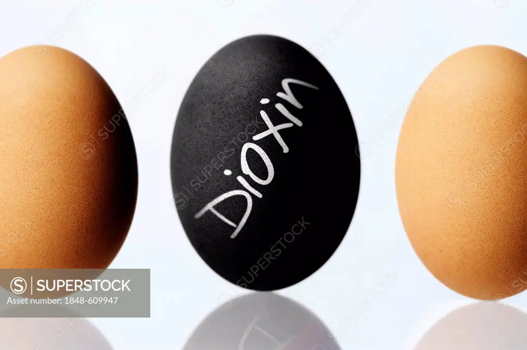 Black chicken egg labelled Dioxin, symbolic image for dioxin contamination in chicken eggs