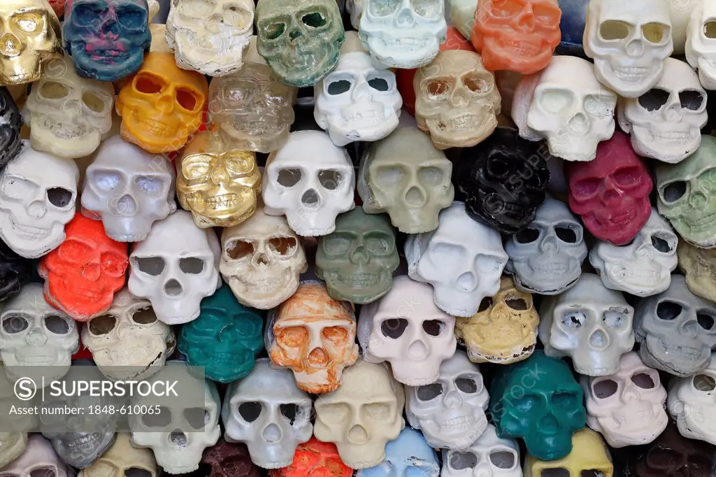 Colorfully painted plastic skulls, art work, exhibition of student works, Kunstakademie Duesseldorf arts academy, North Rhine-Westphalia, Germany, Eur...