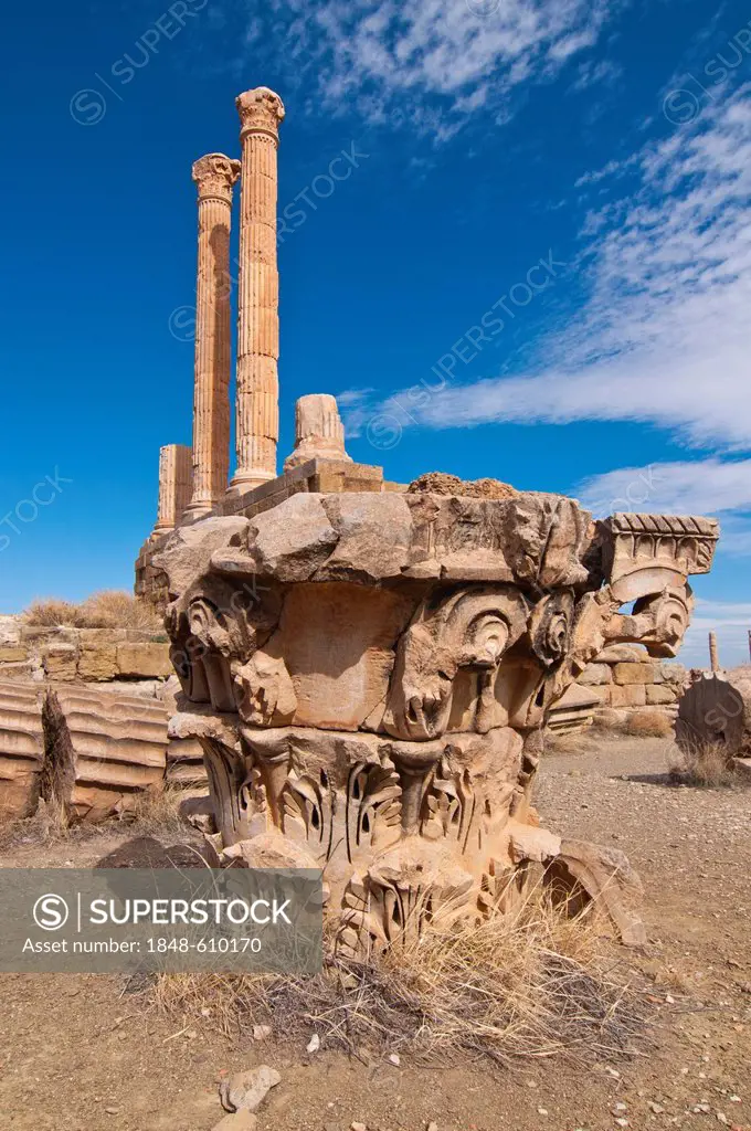 The Roman ruins of Timgad, Unesco World Heritage Site, Algeria, Africa