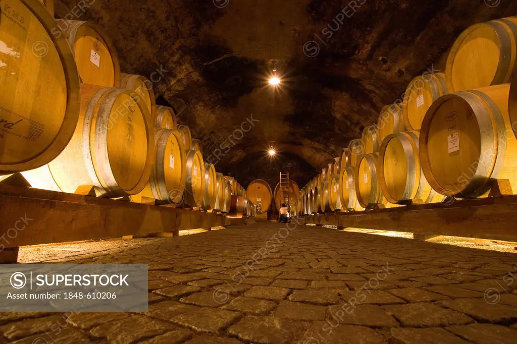 Wine barrels in a wine cellar