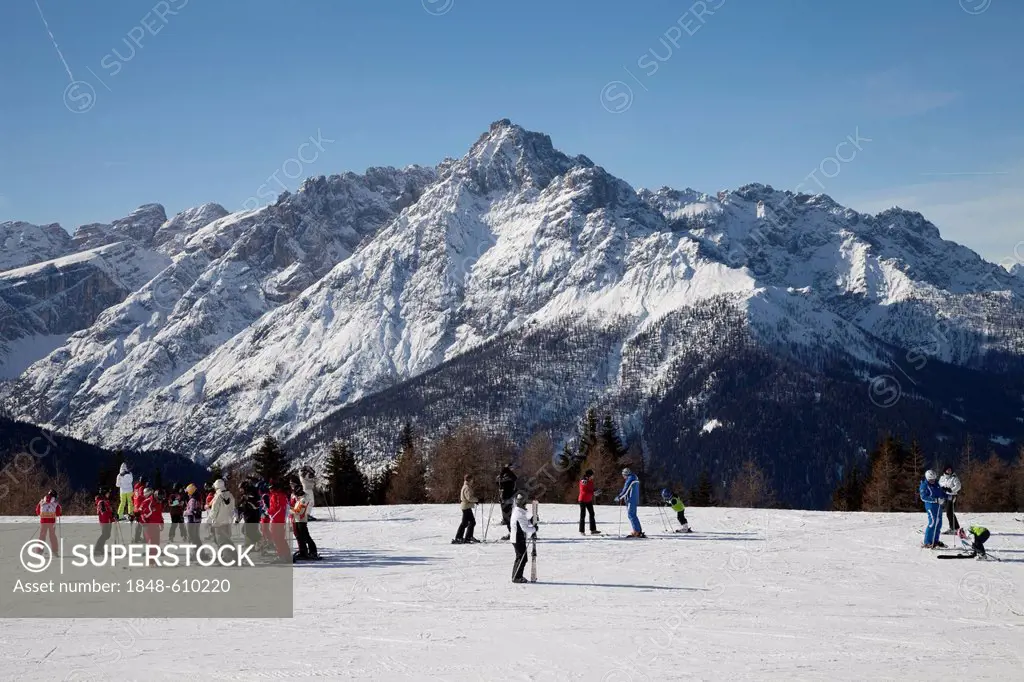 Skiing school, meeting point, 2060m, Helm mountain, Sexten Dolomites nature reserve, Vierschach, Sextental valley, province of Bolzano-Bozen, Italy, E...