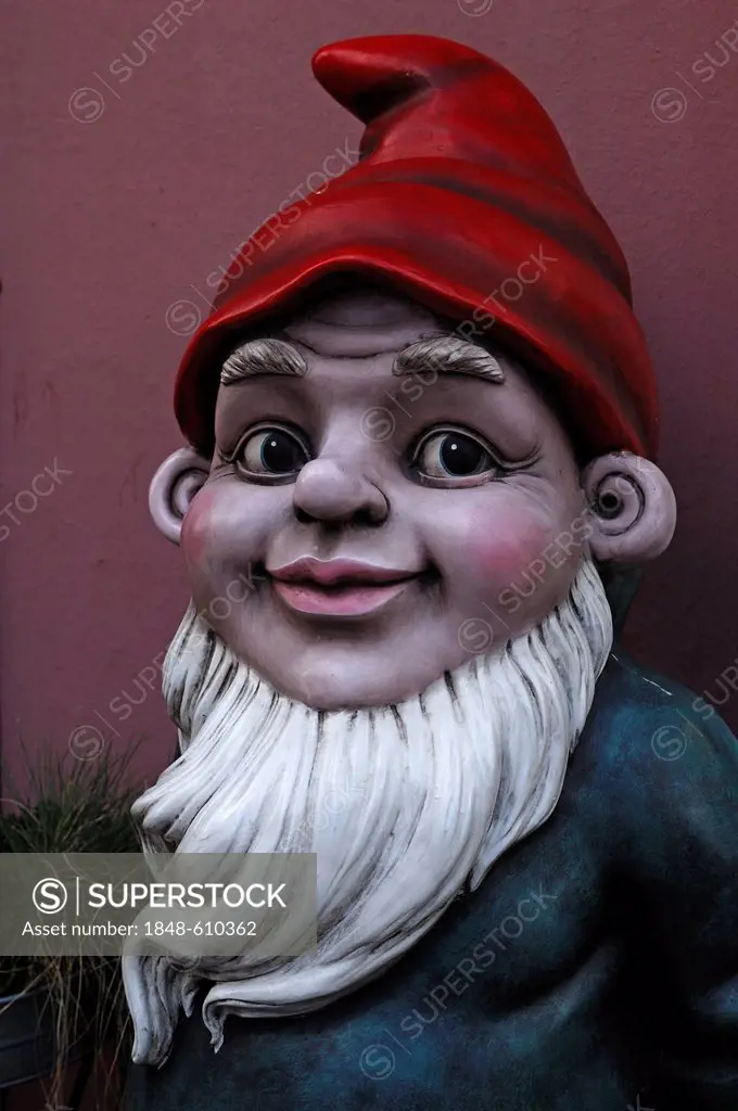 Large garden gnome in front of a flower shop, Lueneburg, Lower Saxony, Germany, Europe
