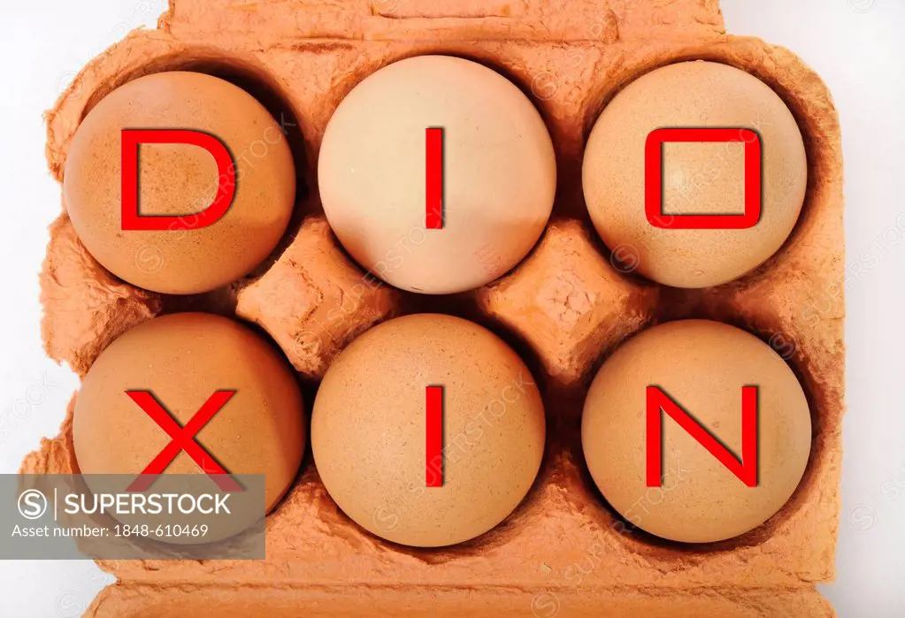 Dioxin lettering on eggs, symbolic image for contaminated food, dioxin, animal feed scandal